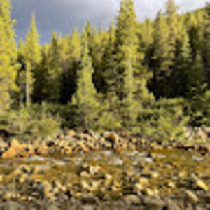 Meet your Posher, Nedjet